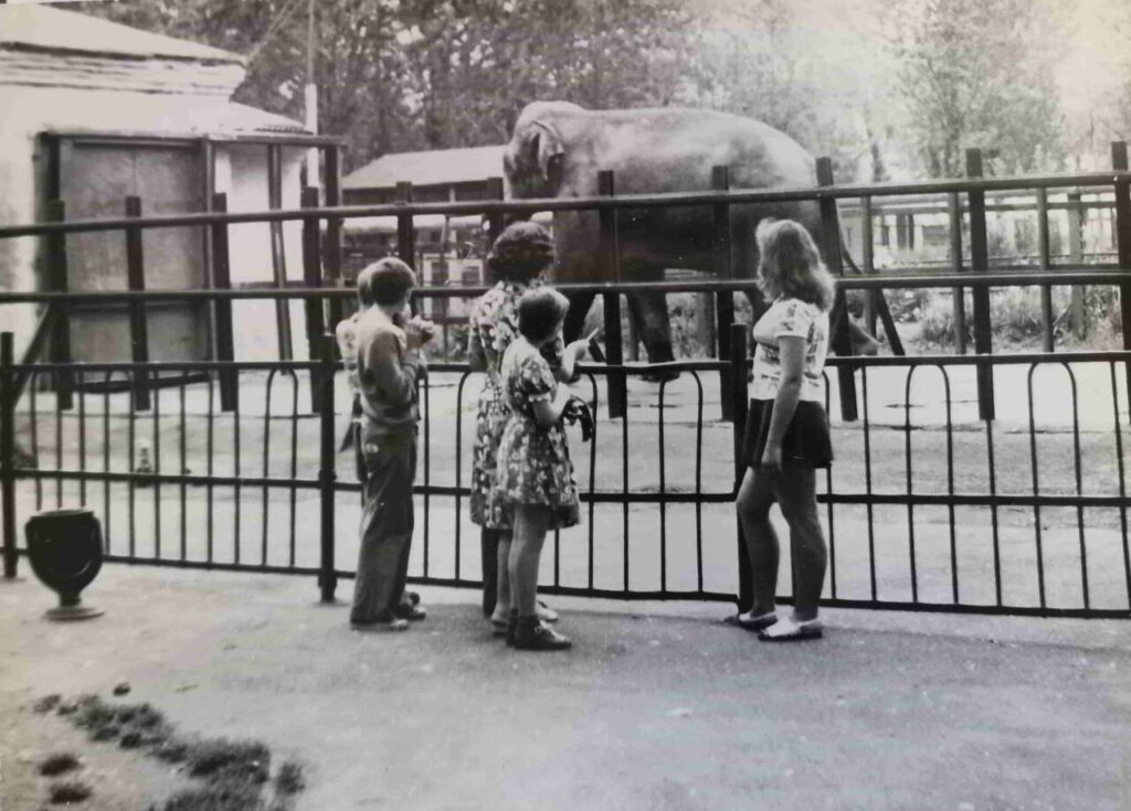 Руководитель кружка юннатов Е.Л.Пьянина в Гродненском зоопарке у вольера со знаменитым слоном Сураком, который прожил в Гродно более тридцати лет